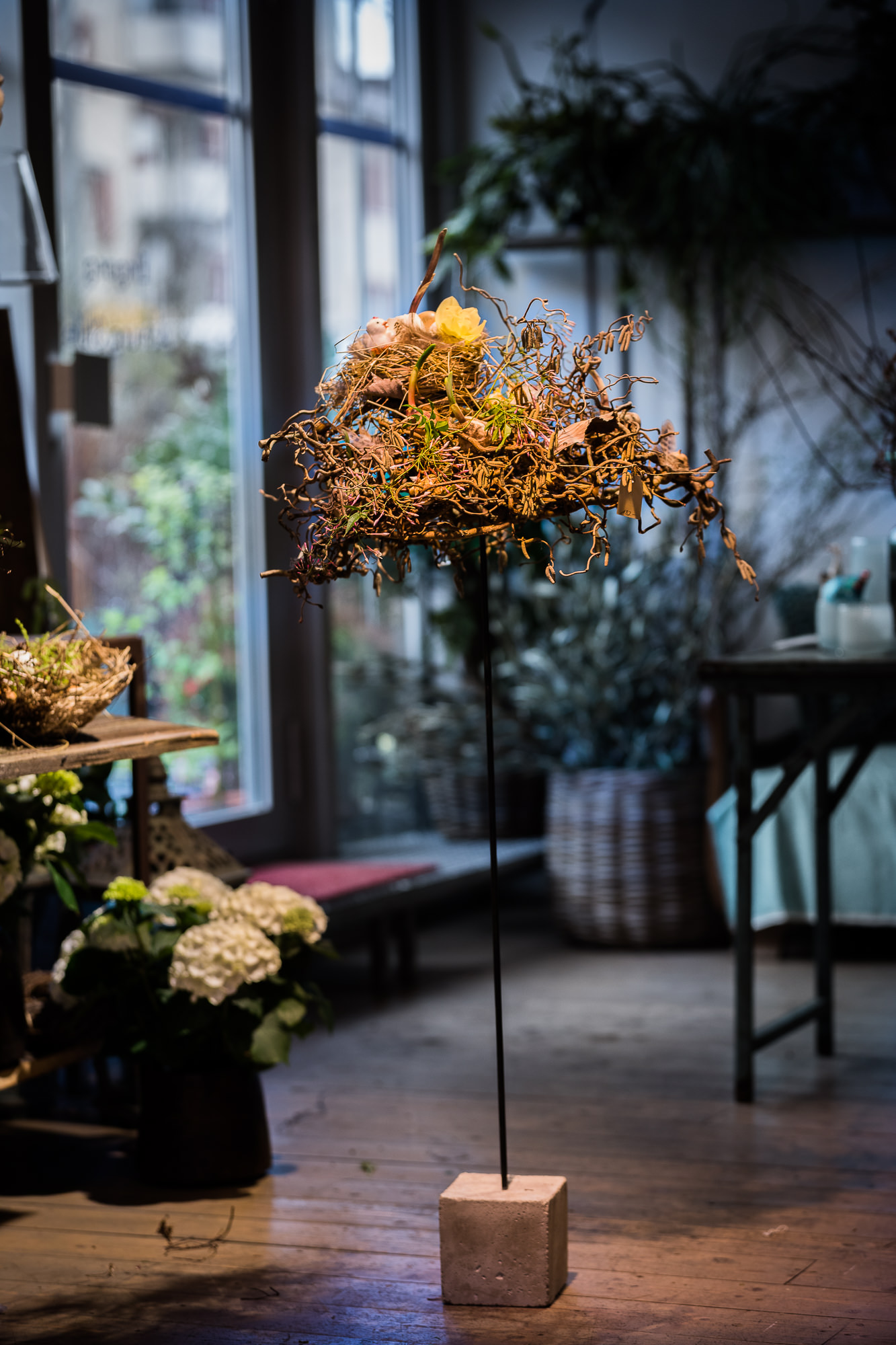 Export x3 5D4 9382 Businessauftrag 2017 Blattform Aarau